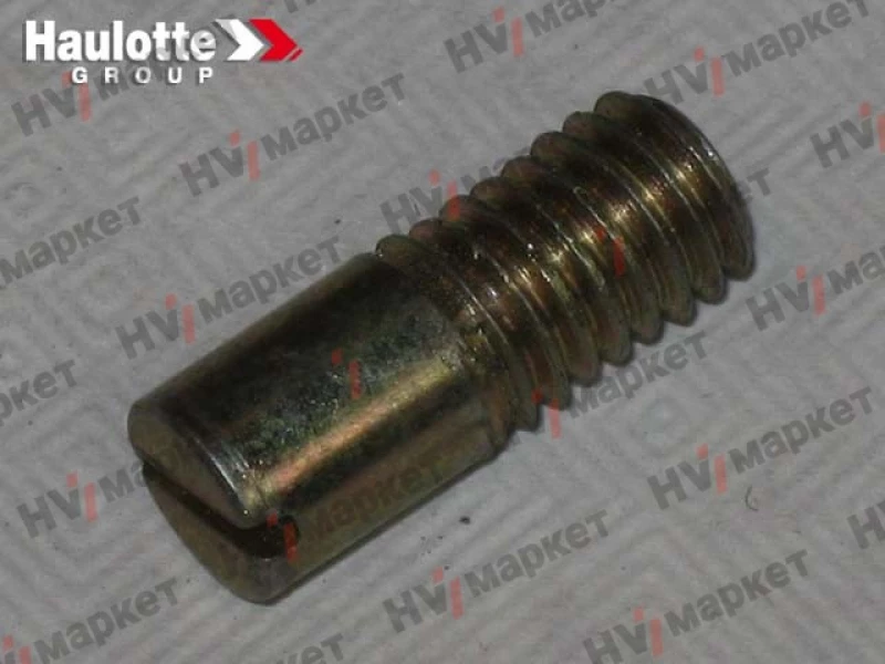 184P301690 - Специальный болт