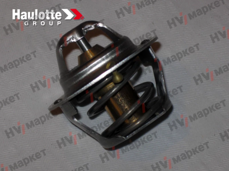 2324003100 - Термостат