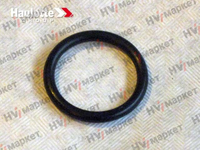 2325002050 - Уплотнительное кольцо