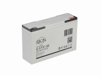 Тяговый аккумулятор SKN 6-EVF-32 (12V34.6A/H C5) HV Market
