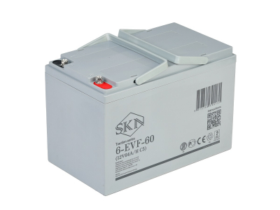 Тяговый аккумулятор SKN 6-EVF-60 (12V64A/H C5) HV Market