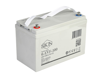 Тяговый аккумулятор SKN 6-EVF-100 (12V105A/H C5) HV Market