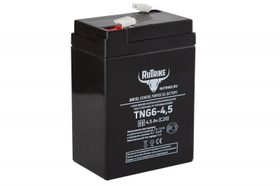 Аккумуляторная батарея RuTrike TNG6-4,5 (6V4,5A/H C20) HV Market
