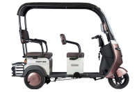 Электротрицикл Rutrike Gelbert Sarin 48V/60V 1000Вт Коричнево-белый HV Market