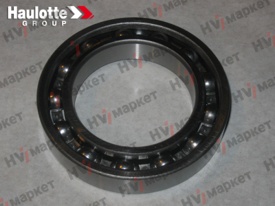 2326002550 - Подшипник