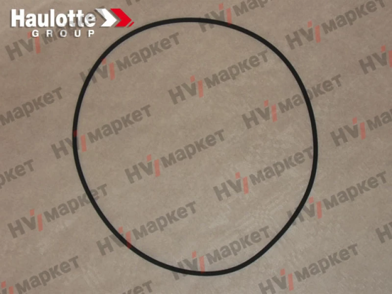 2399003820 - Уплотнительное кольцо