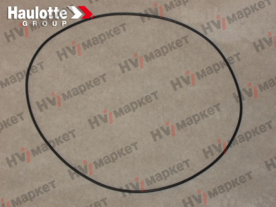 2399004490 - Уплотнительное кольцо