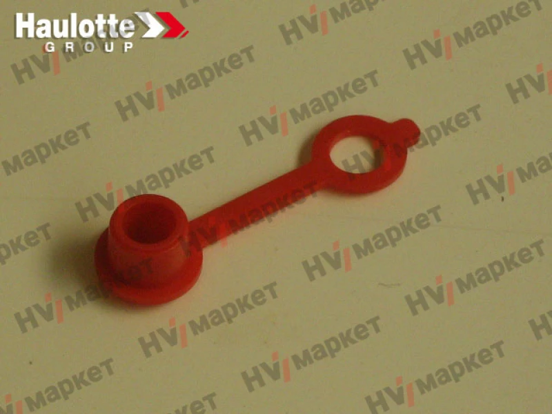 2420301180 - Крышка пресс-масленки