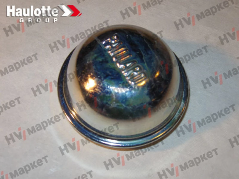 2420311640 - Колпак колеса