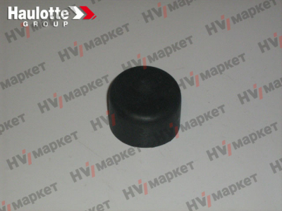 2421303300 - Колпачок концового выключателя