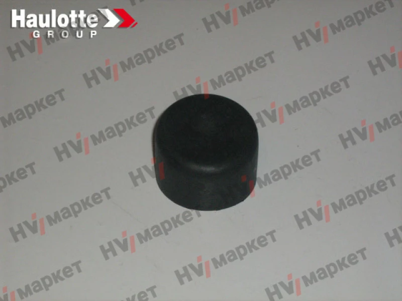 2421303300 - Колпачок концового выключателя