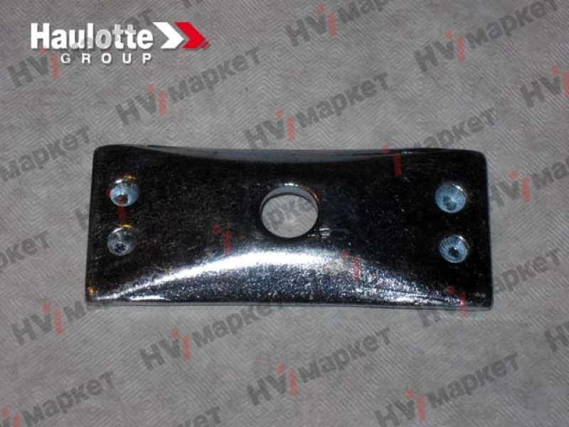 2421608490 - Защитная пластина