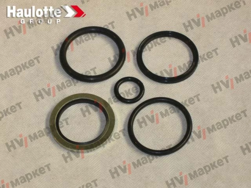 2421693550 - Набор прокладок