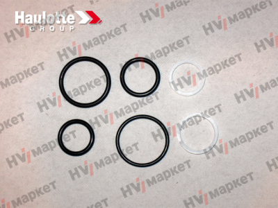 2421693650 - Набор прокладок