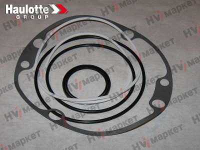 2421694000 - Набор уплотнений