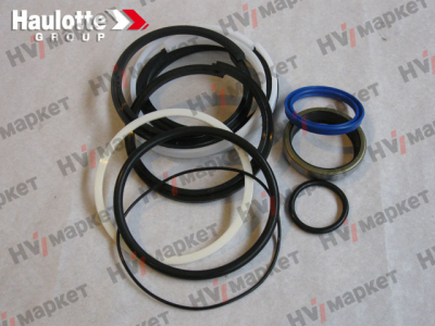 2421694630 - Ремкомплект сальников 2326009210