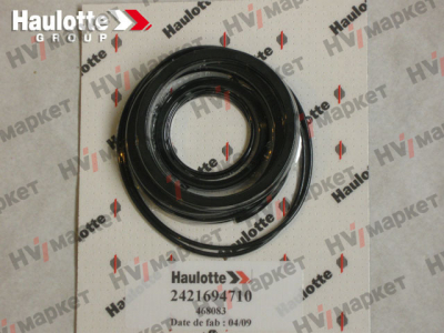 2421694710 - Набор прокладок для гидромотора