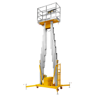 Подъемник двухмачтовый GTWY 8-200S (T) (AC&DC, 200 кг, 8 м) SMARTLIFT (SMART) HV Market