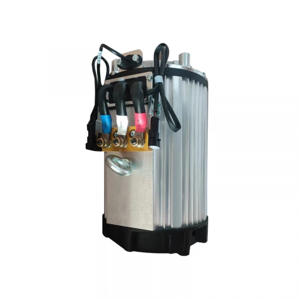 Электродвигатель масляного насоса для ричтрака RV (48V) HV Market