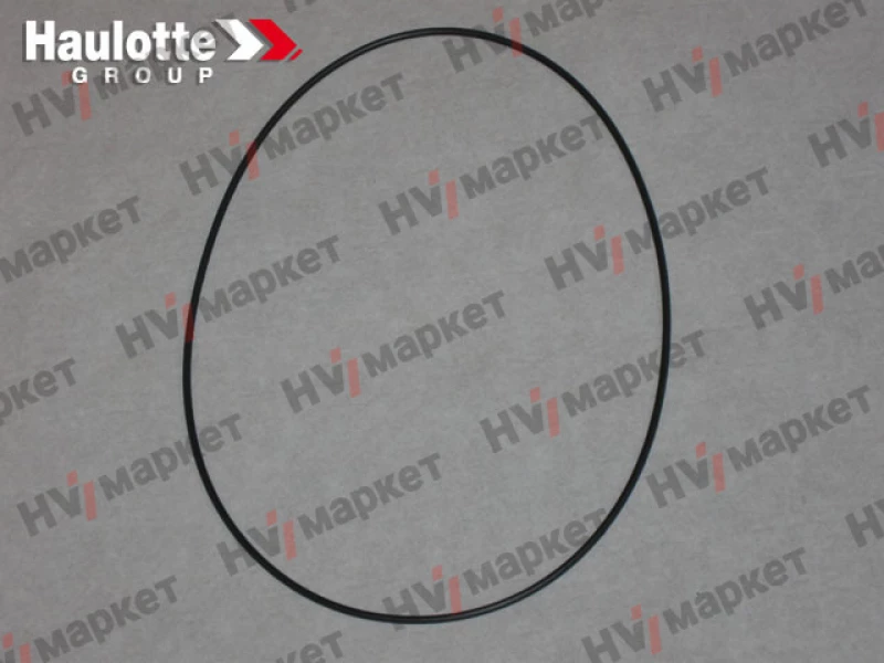 2392000880 - Прокладка тороидальная