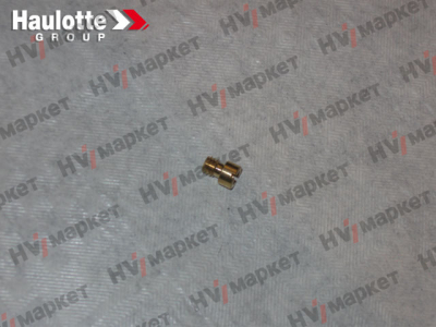 2420703920 - Форсунка