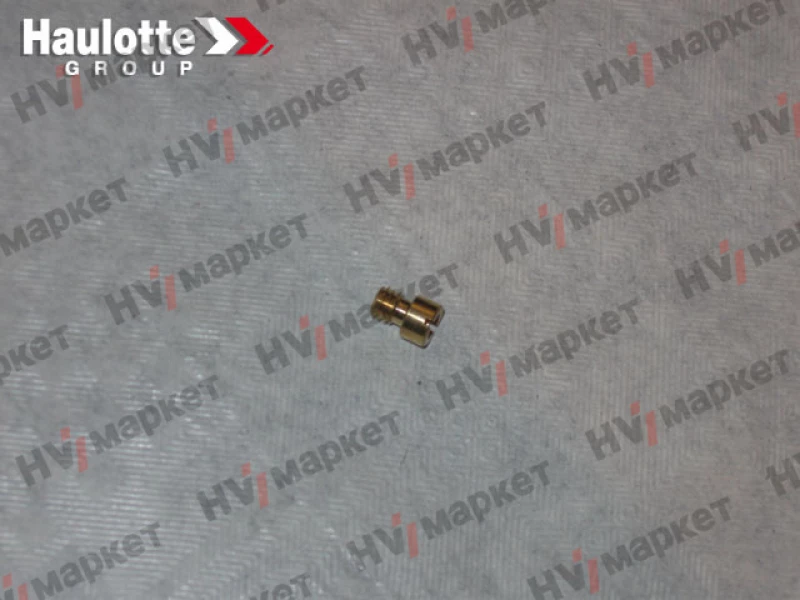 2420703920 - Форсунка