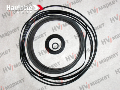 2421693540 - Набор уплотнений