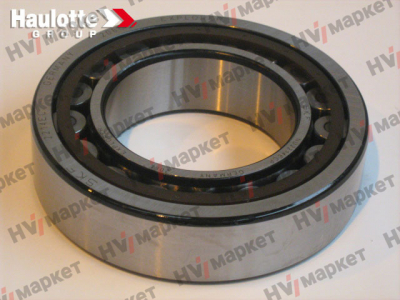 2451923250 - Подшипник