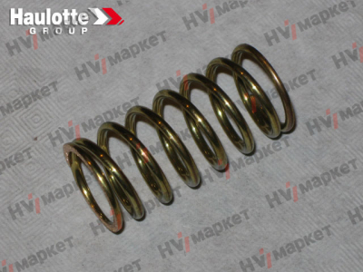 2505002490 - Пружина