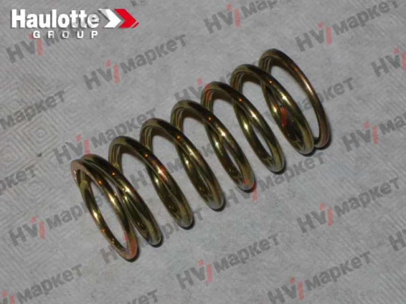 2505002490 - Пружина