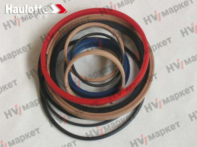 2505005110 - Набор уплотнений