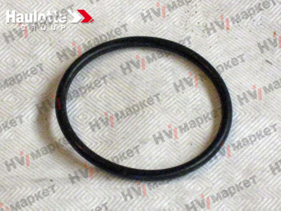 2421003400 - Уплотнительное кольцо