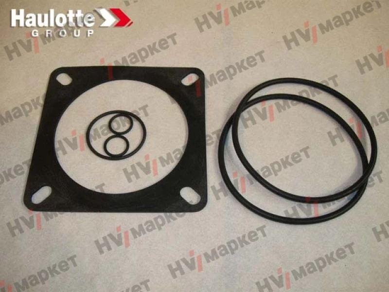 2505002760 –Набор уплотнений