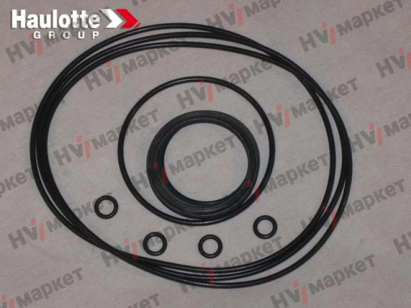 2505003220 - Набор уплотнений