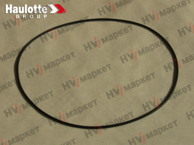 2399004360 - Прокладка тороидальная