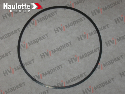 2420105450 - Уплотнительное кольцо