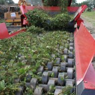 HS 1500 HAMMEL HV Market