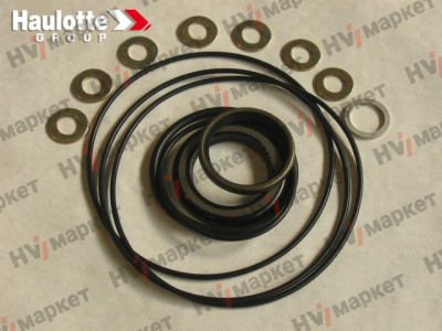 2421610110 - Набор уплотнений