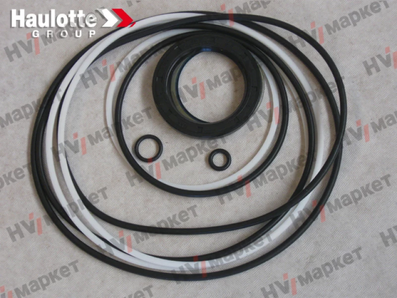 2505006600 - Набор прокладок