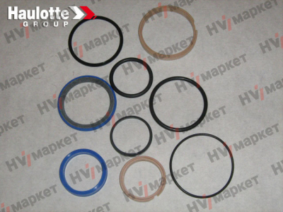 2421694520 - Набор прокладок для гидромотора