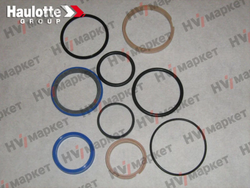 2421694520 - Набор прокладок для гидромотора